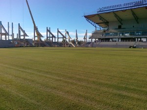 Guldfågeln Arena 20101015